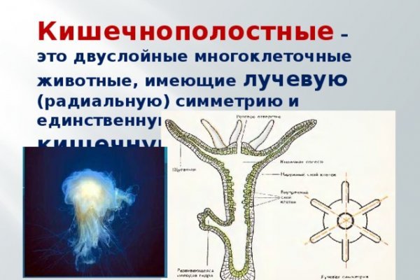 Как зайти на kraken маркетплейс