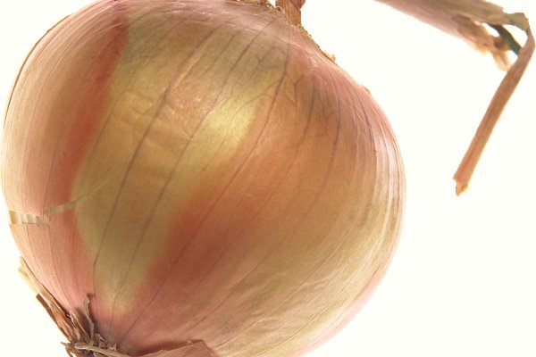 Площадка kraken onion